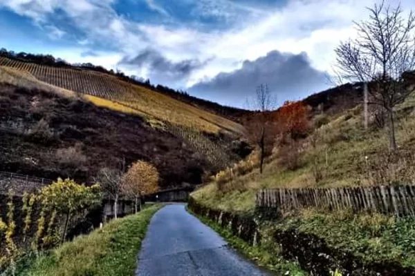 1000 Dagen op rij lopen, wat een prestatie!