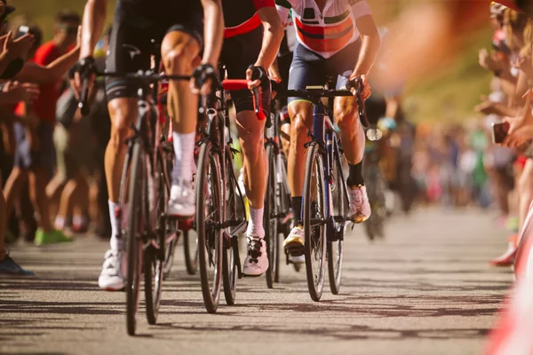 EEG Gullegem Koerse Social group ride   VBR  