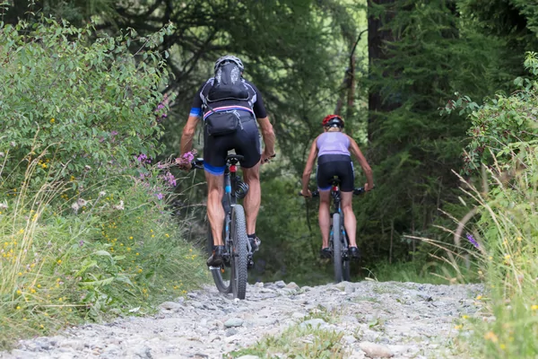 VTT Molendorp