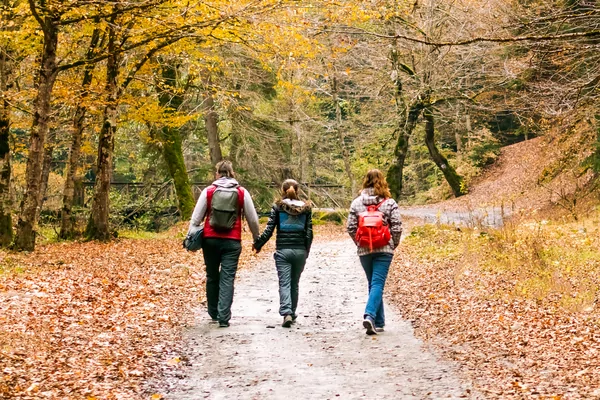 71e Cantharel Int. Vierdaagse Wandeltochten Apeldoorn - dag 3