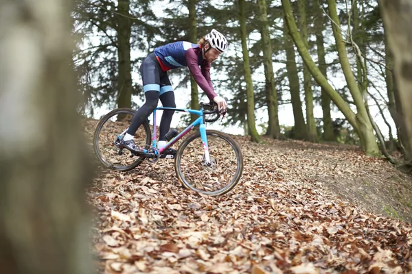 CYCLO Toyoya Boone Roland