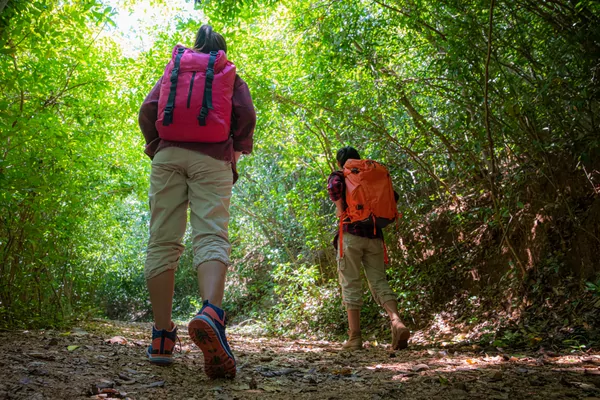 Midweekwandeltocht februari