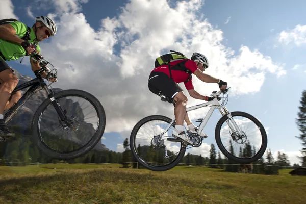 Bos en Heidetocht RWC Reusel 2025