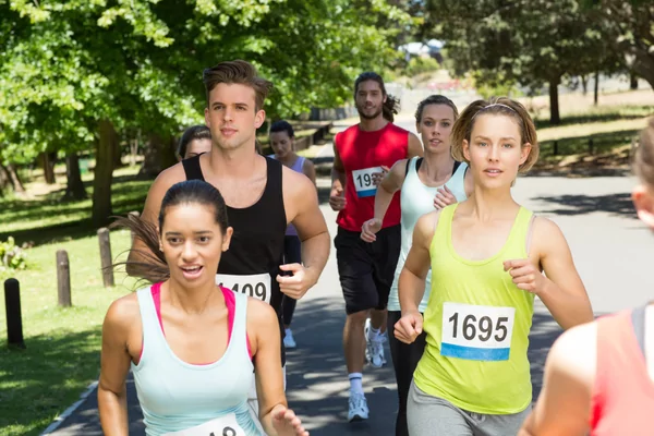 Jogging de Provedroux