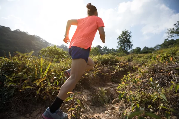 TrailRun & Walk tvv Kom Op Tegen Kanker