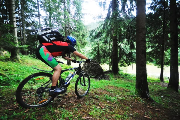 Moerbeke Pereboomse MTB   VWB  