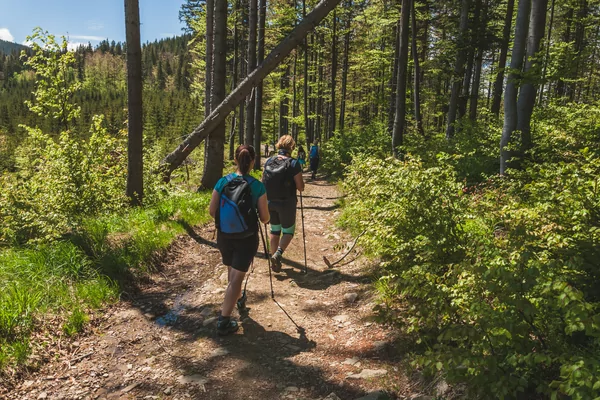 Avondwandelvierdaagse Hengelo Gld