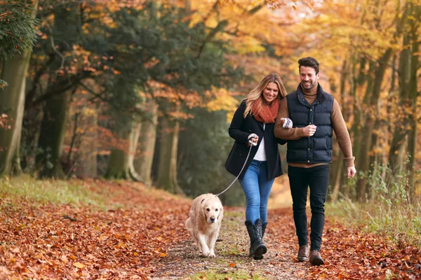 33e Winterwandeling