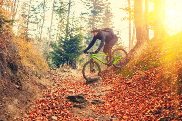 Sportdriewo MTB toertocht