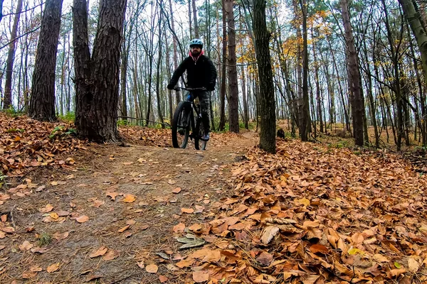 Rogelli Cyclo-cross 2022