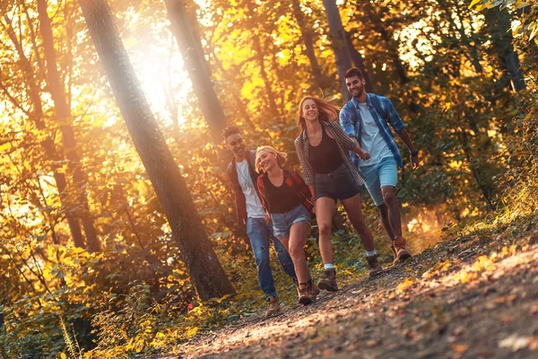 14e Kalverpolder Wandeltocht