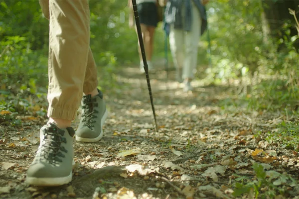 435e Individuele Wandeltocht RS80 nr. 5