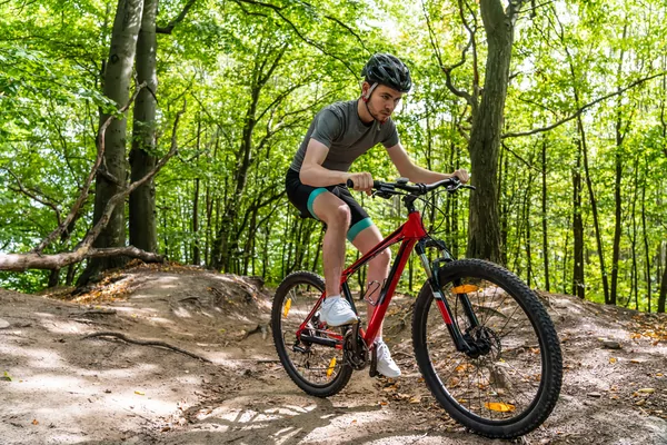 De Pedaleur Bikes MTB Montferlandtocht