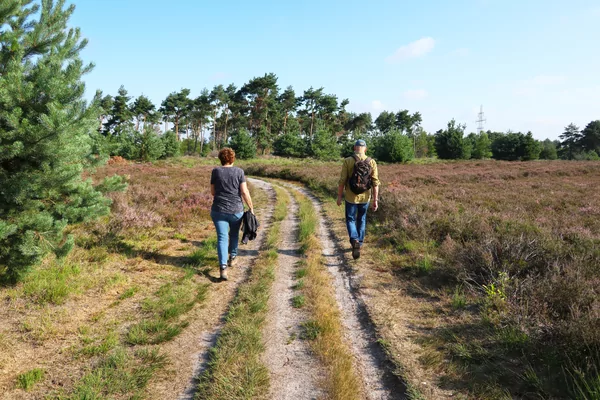 45e Sint-Bavotocht - Viggaaltocht