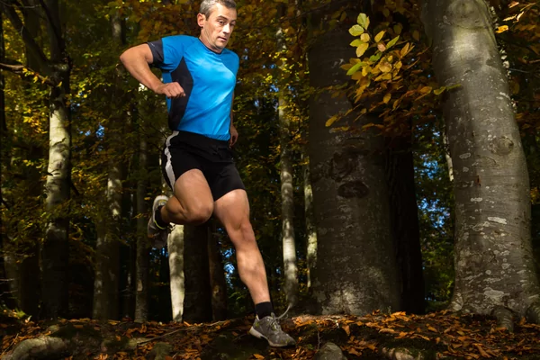 Redoutable Trail des 6 Gués