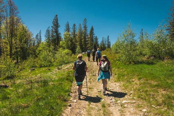 1e Grote Breugel Wandeltocht