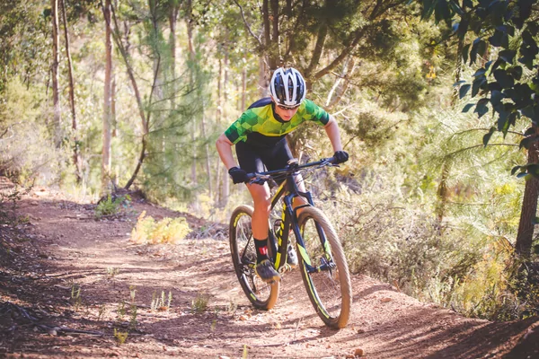 Gorsselse Heideveldtoertocht MTB 2026