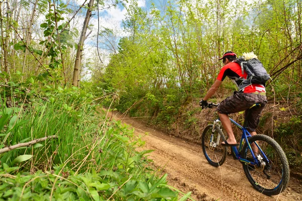 brueghelbikers gravel rit VWB