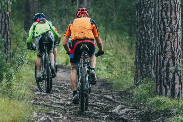 Noordelijke mtb grenstoertocht   VWB  