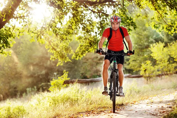 Achter d'Hei Veldtoertocht   VWB  