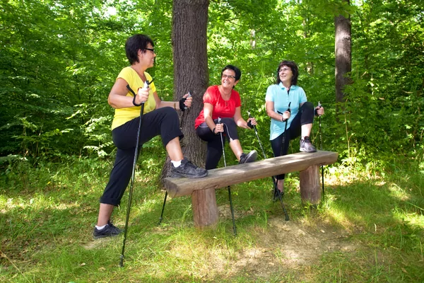 Beek en bos wandeling