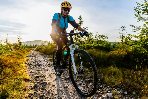 VTT Nocturne