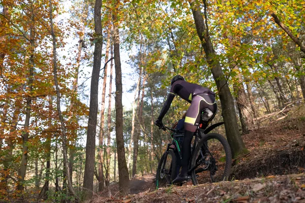 Gooische Strade Bianche XIII 2025