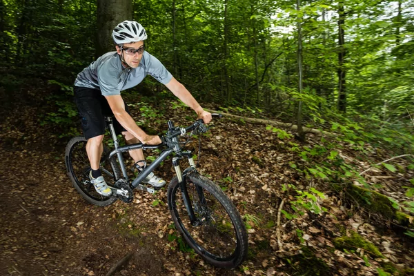 VLASCHAARD GRAVEL RIDE