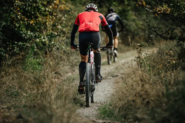 Ichtegemse winter-VTT / 2-daagse 