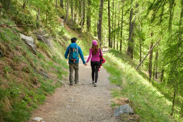31e Drents Friese Woud wandelvierdaagse 2026