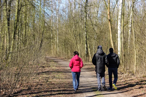22e Sint-Maartenstocht