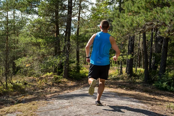 Le Trèfle à 4 Feuilles