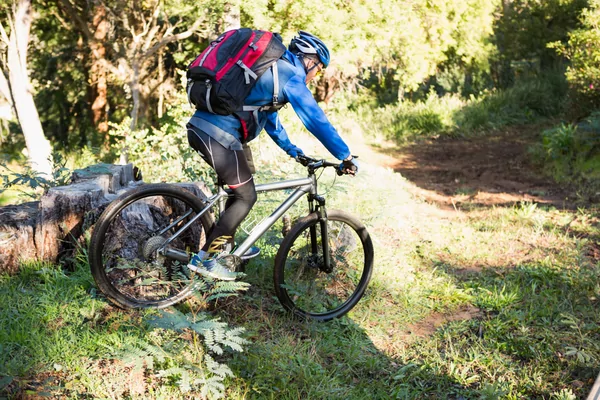 VTT urbain et forestier