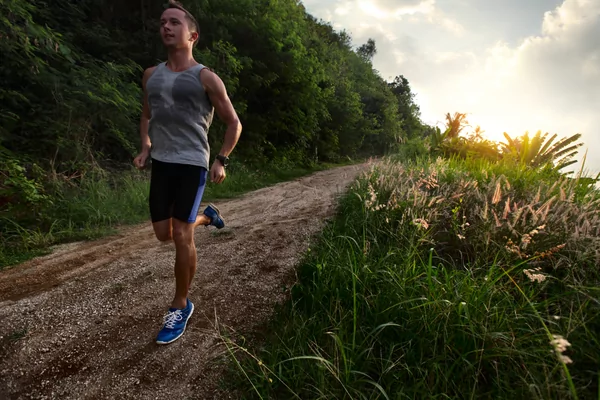 De Boever Trail D'Alost