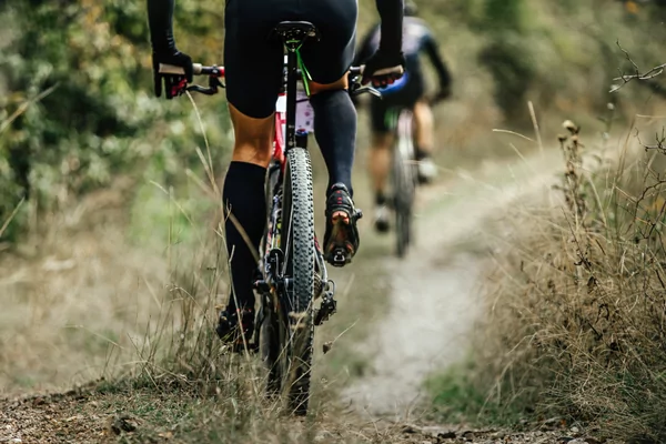 Oost Achterhoek Tocht Gravel Wild en Vri-j