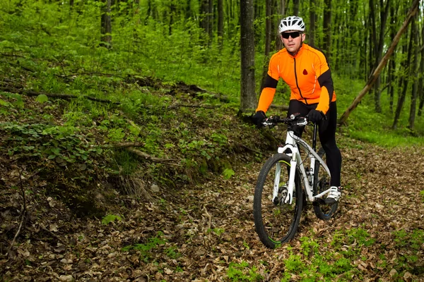 Le Tournay Gravel Tour