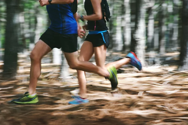 ACO van Elderen Crossloop