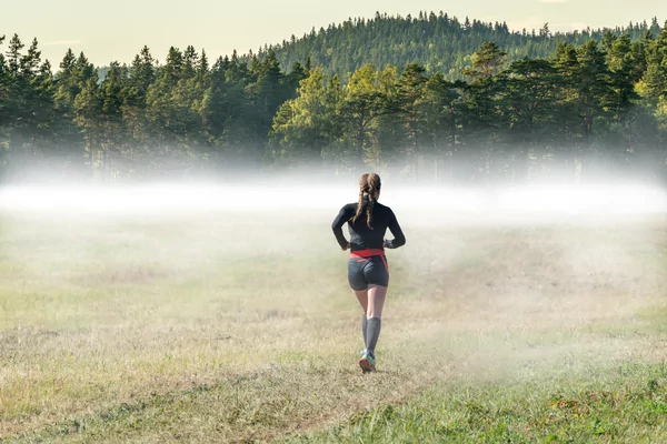 Tournay Trail des Chapelles - Templeuve