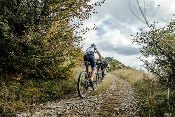 34STE NIEUWJAARS VELDTOERTOCHT   VBR  