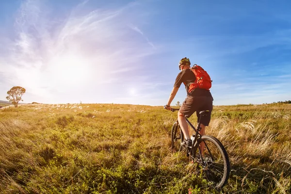 Westerwolde ATB tocht 2026