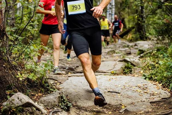 Trail nocturne la Lasnoise