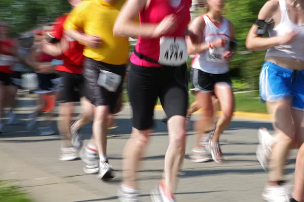 Allure Libre de la Communauté scolaire Saint-Benoît