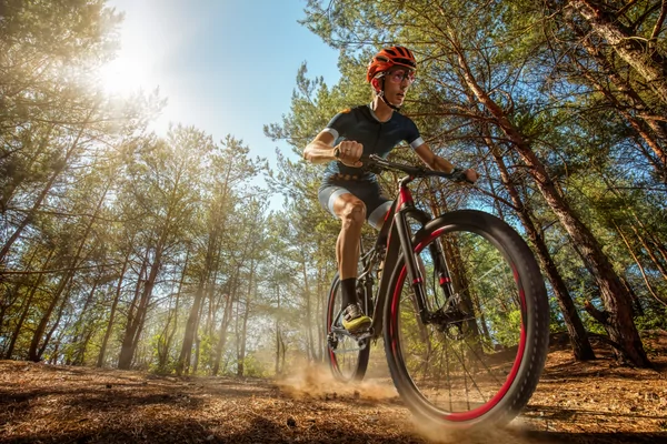 Beemd en bergtoer Gravel Holten