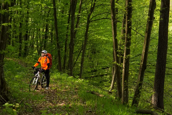 Kwaremont MTB tocht 2026