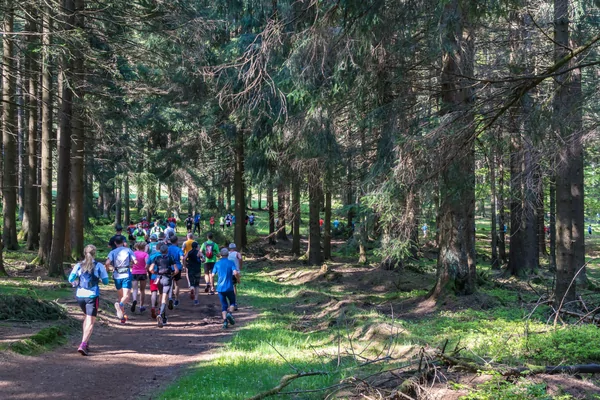 Klaverblad Amersfoortse Bergcross