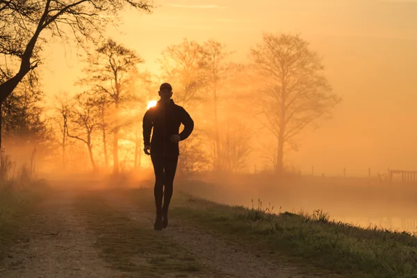 Jog-trail DUO des petits oiseaux de Gaston