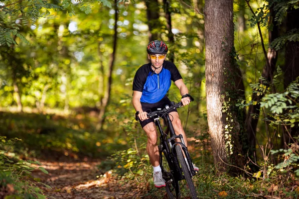 Bikse Bos en Heidetocht (gravel)