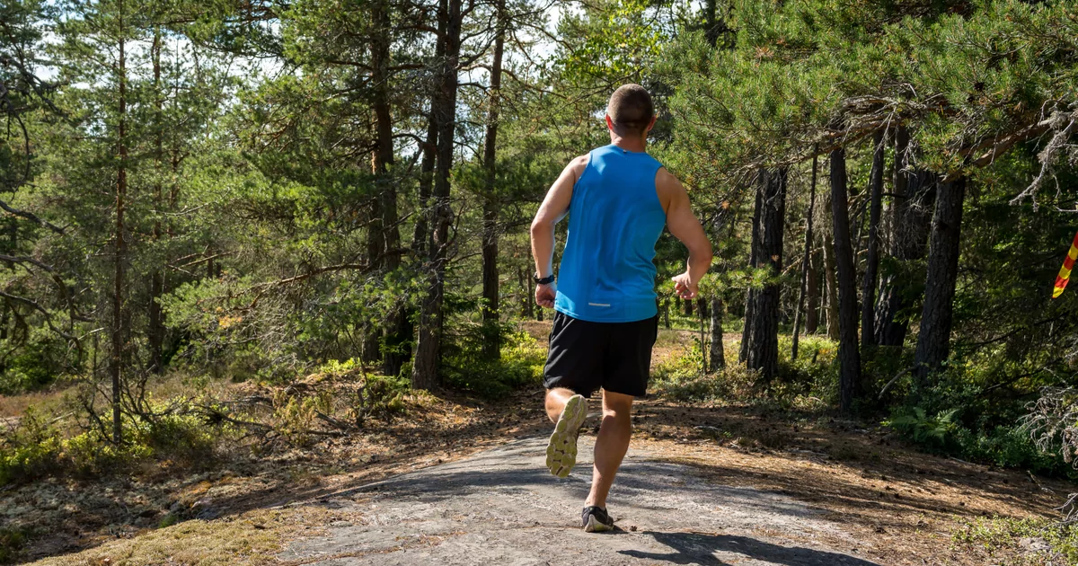 Champions Trail - Go Dare Trail run calendar