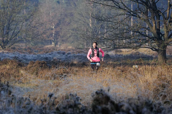 RUNFORESTRUN Dwingelderveld
