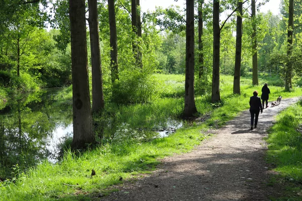 Herfsttocht Aarsele